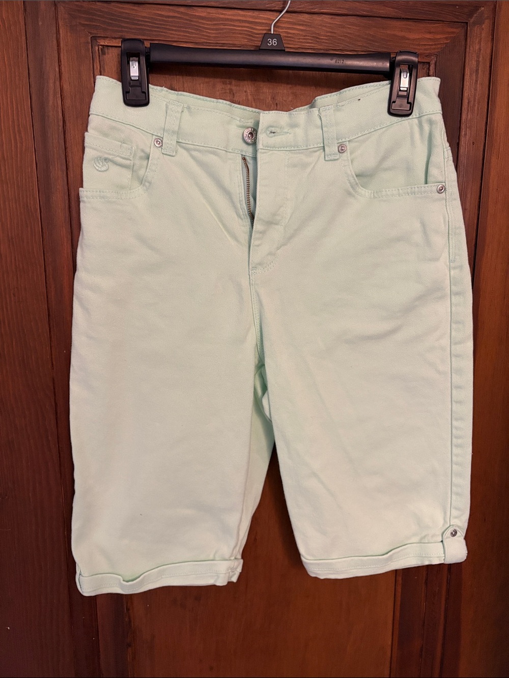 Mint Green Casual Knee-Length Shorts